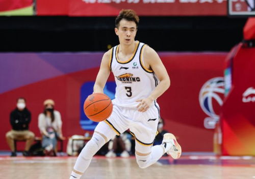 从1995到2025，CBA联赛的起点与三十年征程