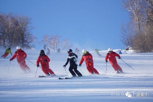 冰雪同梦，2026冬奥会对中国社会与全球格局的深远影响