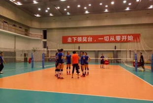 中国女排近期有比赛吗?最新赛程与备战动态一览 中国女排近期有比赛吗?最新赛程与备战动态一览
